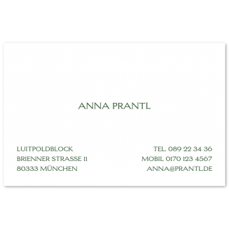 Klassische Visitenkarten